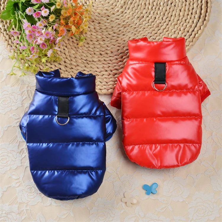 Import Dog Clothes China Winter Warm High Quality Guangzhou Name Brand Blank Dog Clothes Vendors