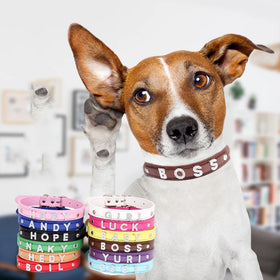 Pet Factory Wholesale Diamond Letter Traction Rope Neck Collar DIY Name Engraveable Accessories PU Leather Pet Collar