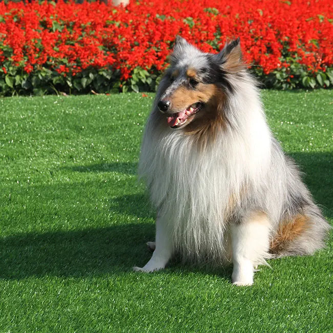 Customized Artificial Grass Turf Pasto Sintetico Outdoor Fake Grass Synthetic Green Grass Carpet Cesped Artificial