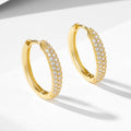 Fashion Jewelry Hoop Earrings S925 Sterling Silver Gold Plated Micro Pave Cz Zircon Women Huggie Earring for Gift