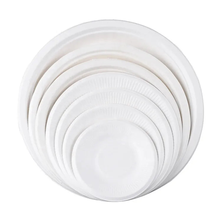 Classical Disposable Paper Party Plates 100% Biodegradable  Natural Sugarcane Pulp Paper Plate