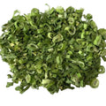 New Crop Air Dried Dehydrated Garlic Leaves Green Chive Green Leek Leaf