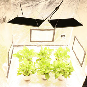 Farming Plant Cultivation Led Grow Light Patented Design Lm282b Lm301h120W 240W Led Grow Light