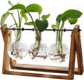 Retro Tabletop Air Planter Bulb Glass Vase Modern Wooden Stand with Metal Swivel Holder Stylish Flower Pots & Planters Terrarium