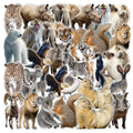 50PCS Waterproof Unfading PET Transparent squirrel Arctic animals sticker