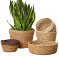 Natural Seagrass Baskets with Inner Plastic Plant Pot Basket Nursery Hamper Decorative Basket