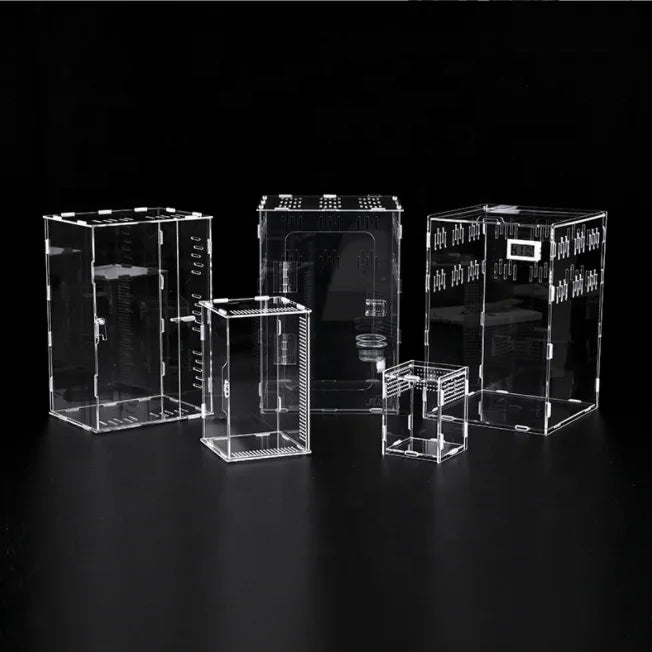 Small Acrylic Reptile Terrarium Cage Crawling Pet Breeding Box Tortoise Box Lizard Hedgehog Insulation Landscape for Sale
