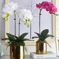 Artificial Orchid Flower Plant