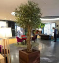 8ft Modern Artificial Green Olive Tree Plastic Garden Decoration Eco-Friendly High Simulation Outdoor & Indoor Use