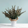 Wholesale Realistic Simulation Plastic Flowers and Green Plants Wedding Crafts Artificial Eucalyptus Bouquet