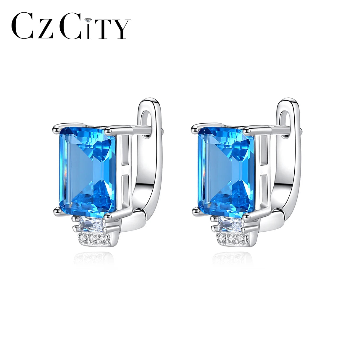 CZCITY S925 New Designs 2026 Long Earings with 1 Pair Latest Jewelry Earing Designer Earrings Popular Brands