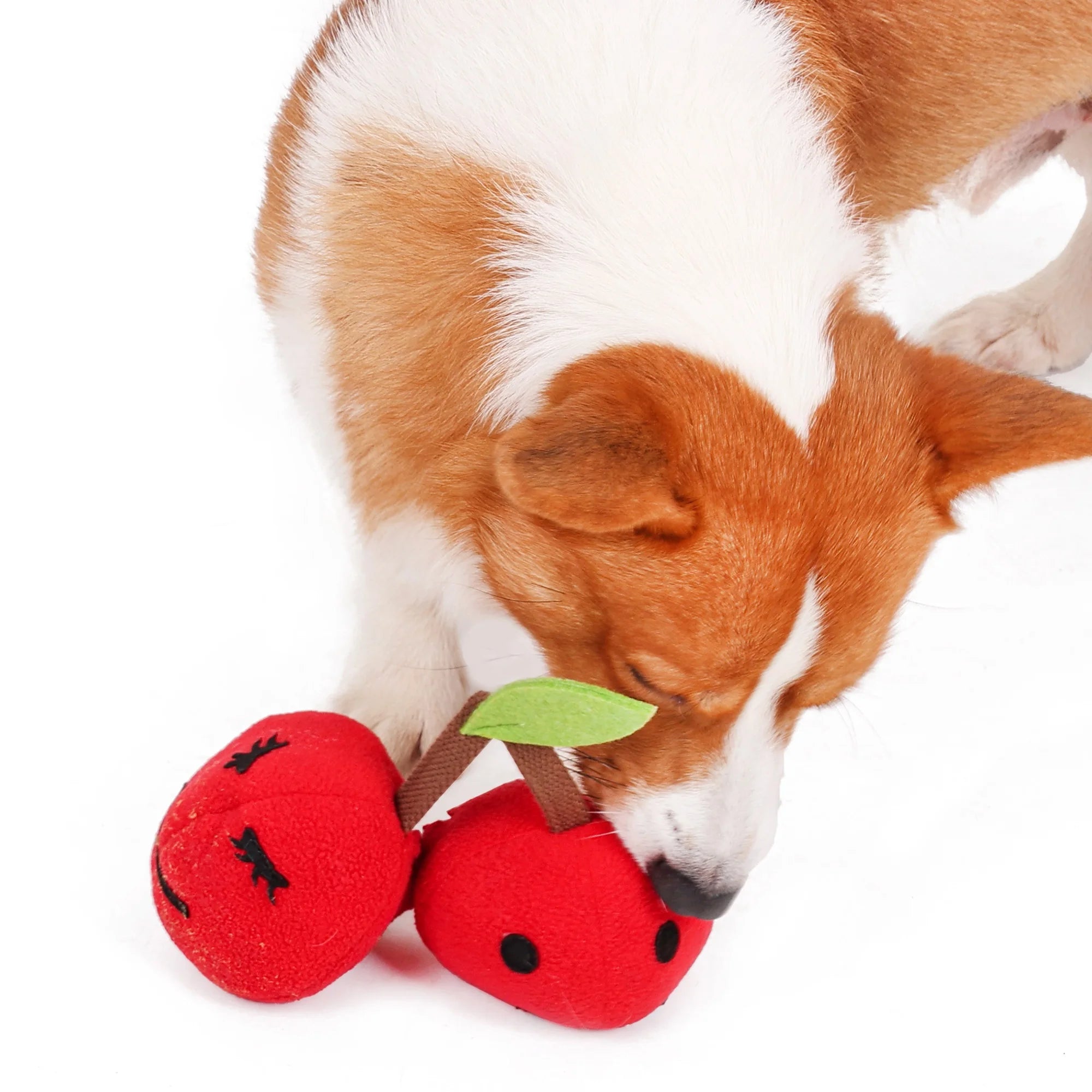 Manufacturer Cherry Balls Design 2-in-1 Nosework Interactive Dog Toy Squeakers Dog Snuffle Toys for Small Toy Dog Chew