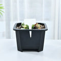 square Shallow Black White Plastic Plant Nursery Mesh Seedling Mesh Succulent Planter Flower Pot