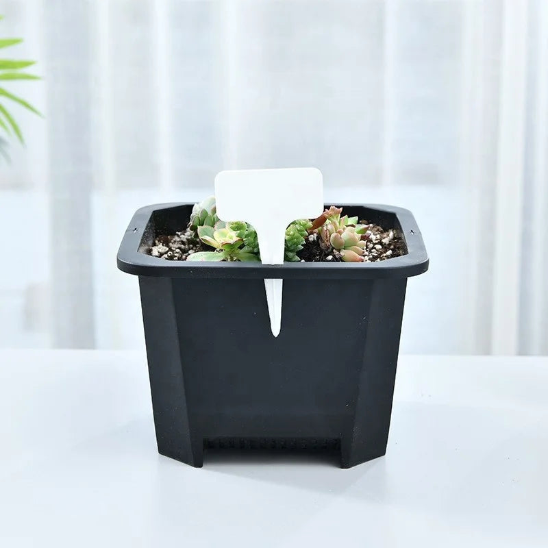 square Shallow Black White Plastic Plant Nursery Mesh Seedling Mesh Succulent Planter Flower Pot