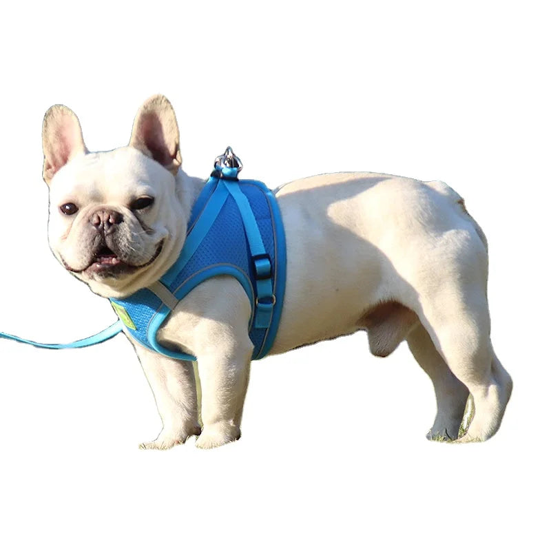 Lightweight Polyester Plastic Dog Leash Harness Set Multi-Color Breathable Reflective Solid Pattern Alloy Ribbon Decorations