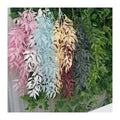 New Willow Leaves Hanging on the Wall  Plant  Dekoration