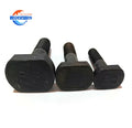 Stock Bolts  Black Stainless Steel Bolts 4.8 8.8 M6 M10 M12 All Size of t Bolt