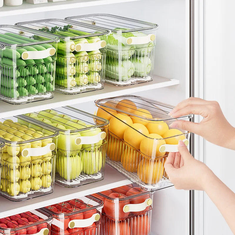 Kitchen Fresh-Keeping Food Grade Storage Box Transparent Plastic Egg Tray Drainage Storage Special Lid for Refrigerator Camping