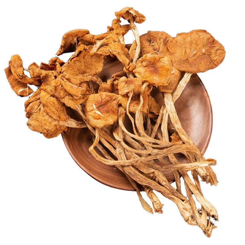 Wholesale Tea Tree Mushrooms Dry Goods Source Base Large Quantity Supply of Bulk Yunnan Tea Tree Mushroom