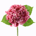 Best Selling Artificial Real Touch Hydrangea Flower for Wedding Party Decoration Real Touch Hydrangeas Flowers