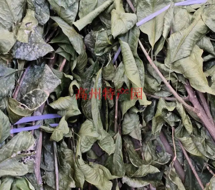Shan You Gan Dried Acronychia Pedunculata Natural Pedunculate Acronychia Wood Stem Leaf for Herb
