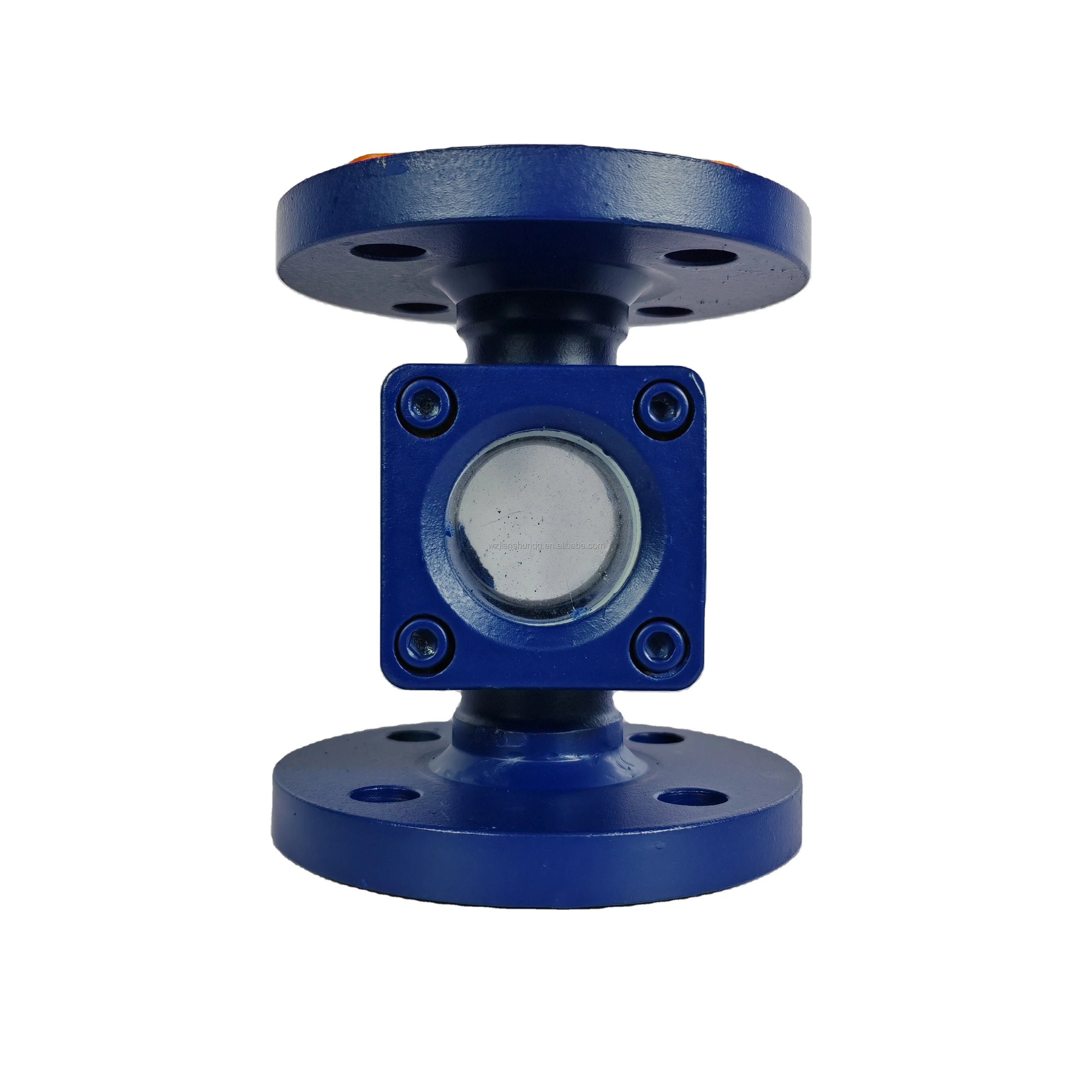 CNJS Carbon Steel Sanitary Flange with Wafer and Mirror Glass Observation Pipe Fittings