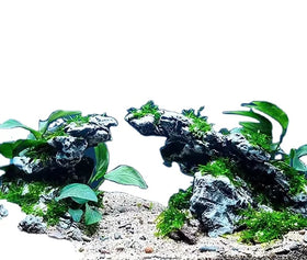 A Nice Two Tone Aquarium Red&Black Rock for Fish Tank Landscaping