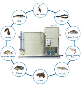 QihangRAS Integrated Recycling Aquaculture Skid Filtration Systems Ras Fish Farming Equipment Aquaculture System All in One