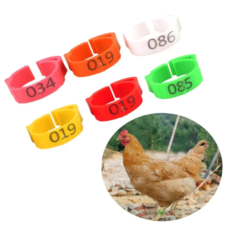 Multi Color Adjustable Poultry Foot Rings Chicken Leg Ring Poultry Flexible Retractable Foot Rings