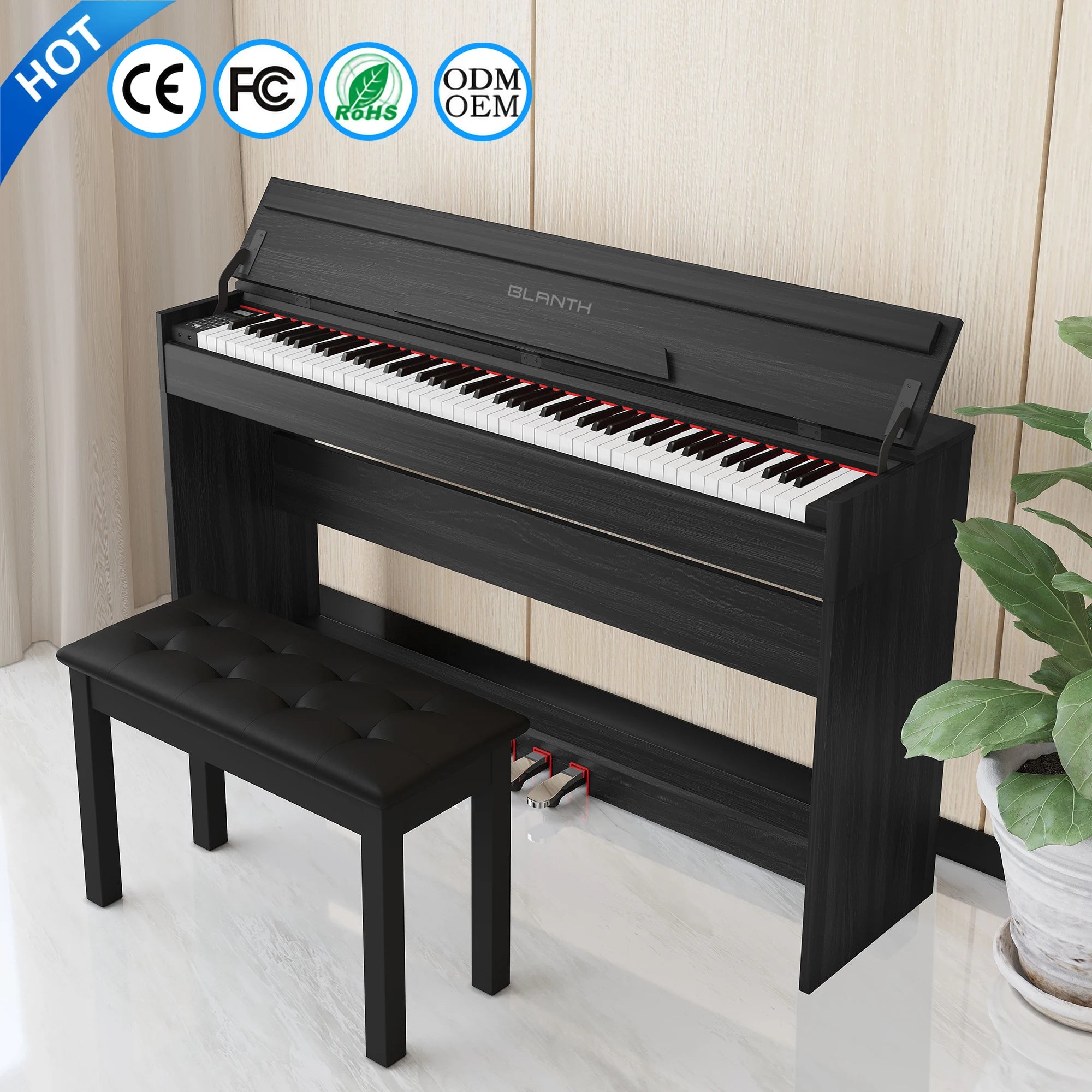 BLANTH Digital Piano 88 Keys Piano for Sale Piano Upright