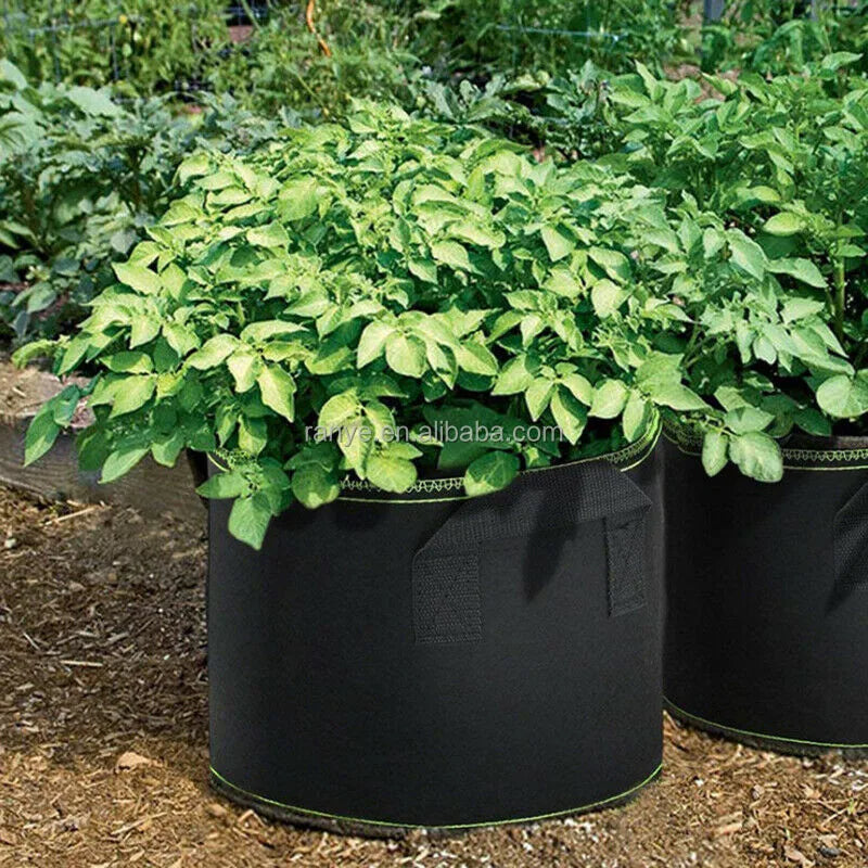 Plant Seeding Grow Bags Garden Planting Nonwoven Fabric Pots with Reinforced Handle Felt Planter Pot for Tomato Vegetables