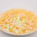 8mm Diy Garment Craft Loose Turtle Sequin Plastic Christmas Party Club Costume Spangle Bulk Package Holographic Film Pvc Sequins