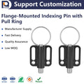 PANQI FD805 Hot Selling Safety Spring Loaded Flange Indexing Pin Pull Ring Black Stainless Steel Customizable Size Carton ROHS