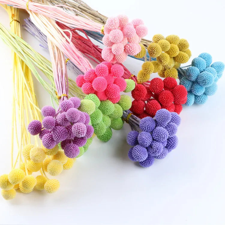 A-1114 Floral Arrangement Home Wedding Decoration Buttons Dried Flower Natural Dried Billy Ball Dry Craspedia Globosa Billy Ball