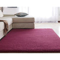 Modern Style Easy-to-Clean Silk Shaggy Carpet Non-Slip Non-Shedding Loop Pile Braided Rugs Latex for Living Room Machine Made