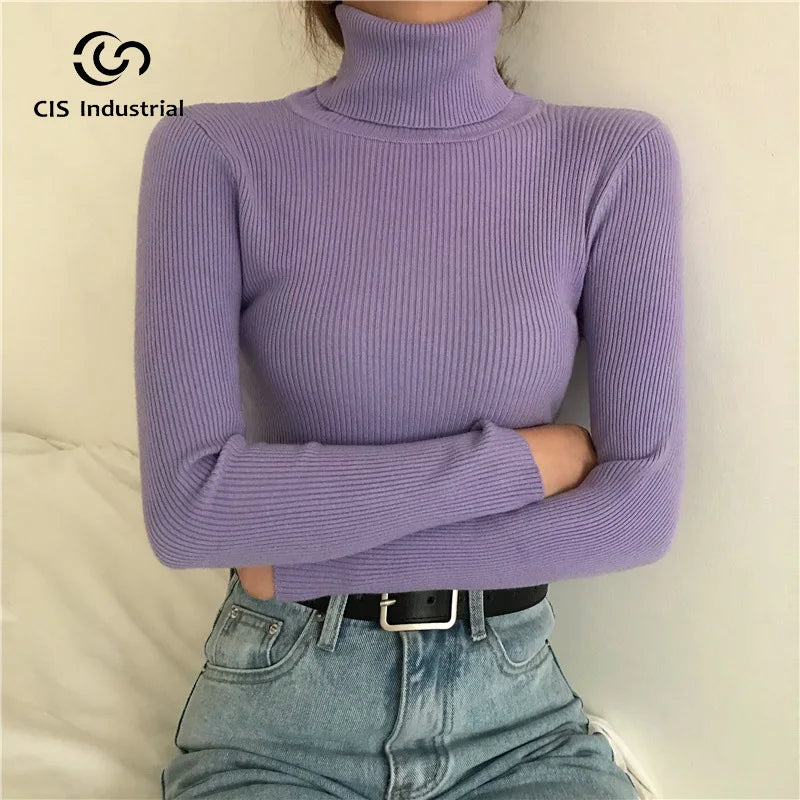 Knitwear Manufacturers Custom Winter Knitting Pullover Sweatshirt Top Ladies Long Sleeve Turtleneck Basic Jumpers Woman Sweaters