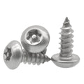 Button Torx Head A2 A4 Wearable Stronger Stainless Steels Black Fixed License Plate for Car Self Tapping Screws