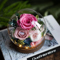 2025 Hot Selling Preserved Flowers and Plants Valentines Day Preserved Roses Gift Preserved Glass Flowers