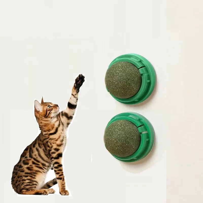 New Design Natural Catnip Wall Ball Toys for Cat