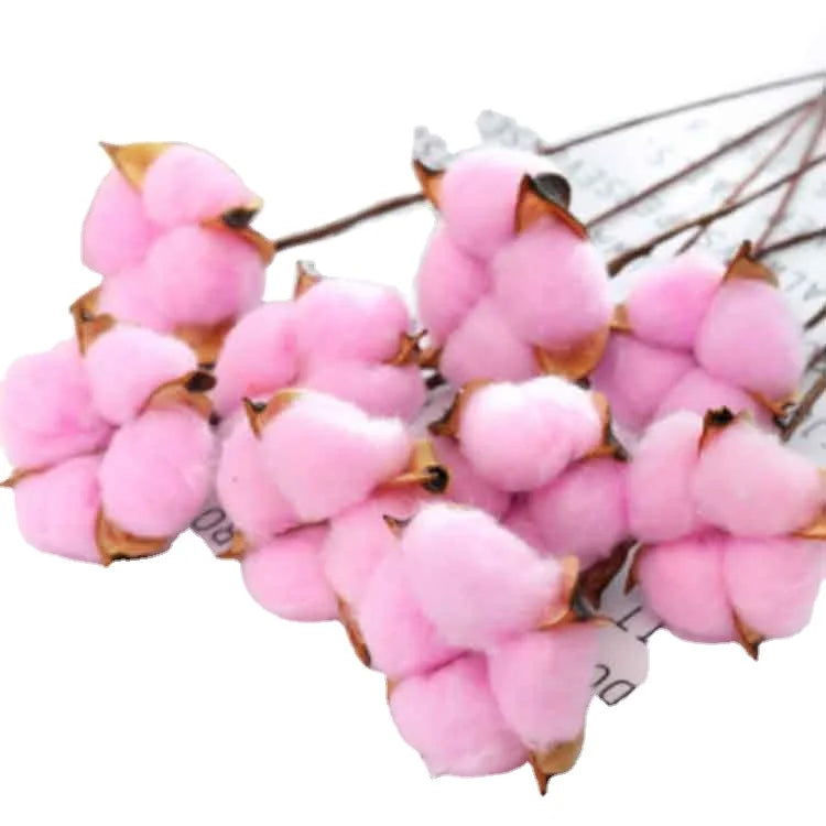 DIY Natural Dried Cotton Stems Artificial Flower Wedding Party Long Life Decor