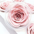 Eternal Rose Flowers 6 PCS 5 - 6 cm Big Grade AA Real Natural Immortal Roses Everlasting Preserved Roses for DIY Flower Bouquet