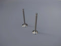 Robin EX13 EX17 EX27 EX35  EX40  Intake Valve  Exhaust Valve Set
