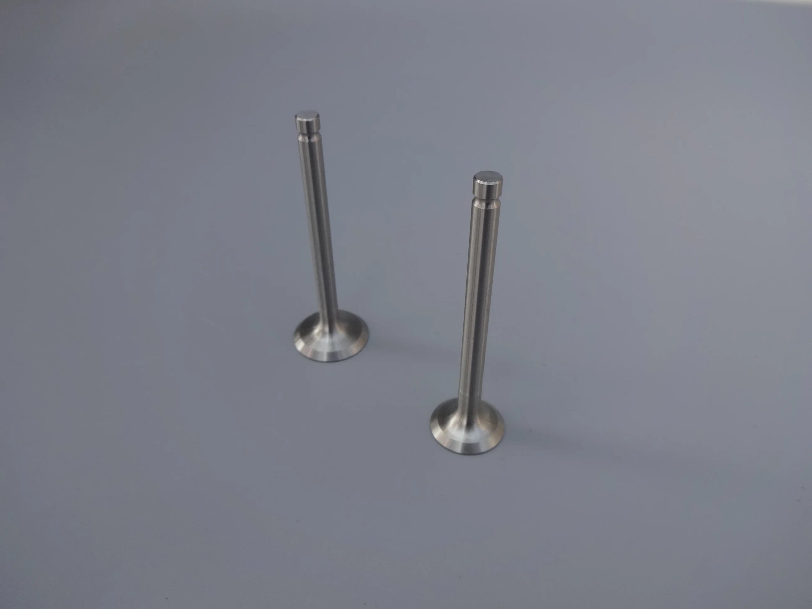 Robin EX13 EX17 EX27 EX35  EX40  Intake Valve  Exhaust Valve Set