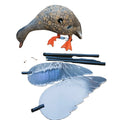 Xilei Wholesale 6V PE Material Durable Realistic Spinning Wing Electric Duck Decoy Remote Control 50-150m Range 38.5 CM Hunting