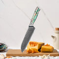 Hot Sale 67 Layers Blade VG10 Damascus Steel Japanese Kitchen Santoku Knives With Abalone Resin Handle