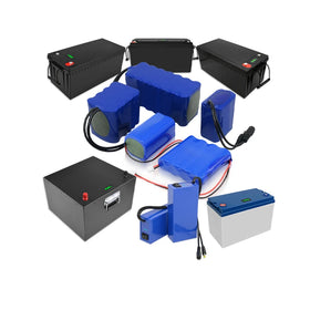 Long Distance Electric Bike Battery 500W/1000W 13S8P 48V 20Ah Lithium Ion Battery With Bms