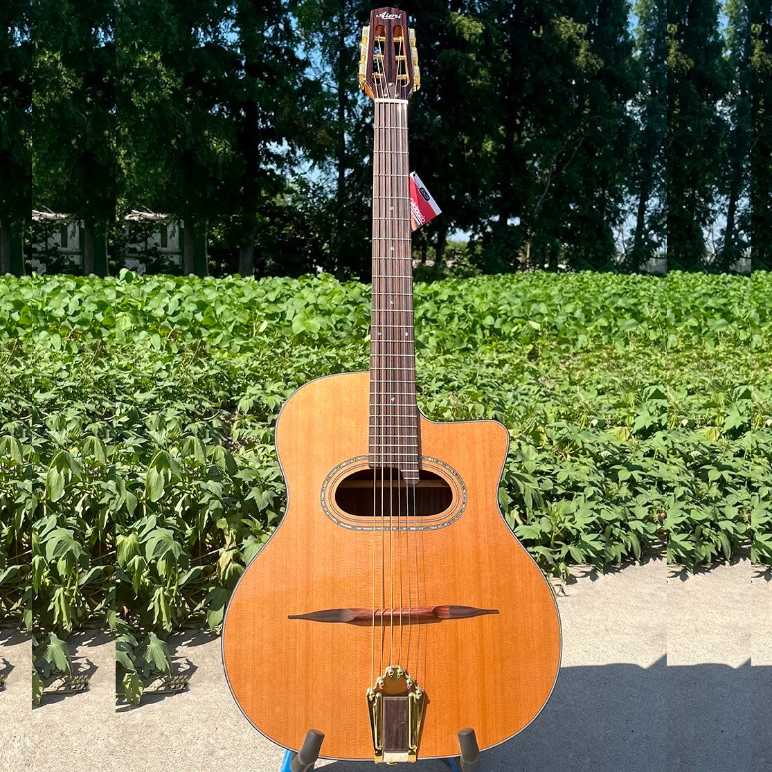 Aiersi Brand Solid Cedar Top Rosewood Acoustic Gypsy Guitar Music Instruments Cutaway archtop jazz Guitar Custom Logo OEM ODM