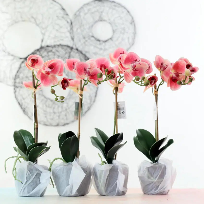 Best Selling Value Orchids Artificial Flowers Real Touch in Pot Orchid Flowers for Decoration Wedding Artificial