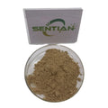 Hawthorne Berry Extract Capsules Flavones Extract Hawthorn Berry Extract