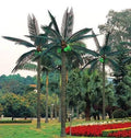 Landscaping Lights Supply Outdoor Motif Lights Giant Decorative Led Palm Trees